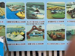 -碧海金沙