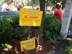 -The Grounds of Alexandria