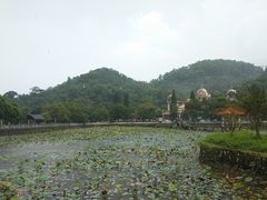 -红山村
