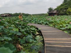 -芸海阁·农家私房菜(沙家浜景区出口店)