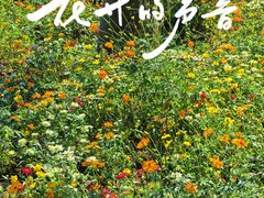 -云溪植物园