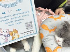 -美联众合动物医院(唯恩分院)