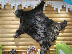 -米德维奇俄式西餐厅(西六道街店)