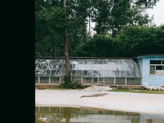 -秦皇岛野生动物园
