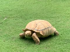 -珠海长隆海洋王国
