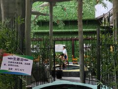 -兴芮温泉度假区