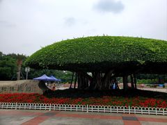 -南宁南湖公园
