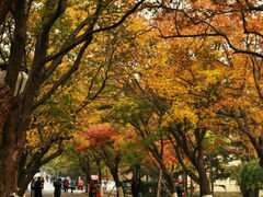 android_upload_pic-八大关景区