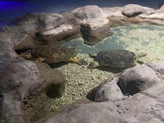 -南昌海洋公园