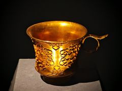 -陕西自然博物馆