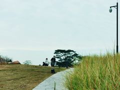 -福田红树林生态公园