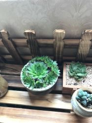 -伽玥瑜伽·普拉提馆