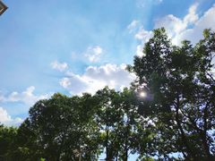 -真茶屋·0奶精(街道口一店)