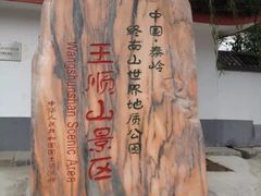 -王顺山国家森林公园