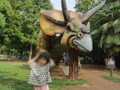 -中国西峡恐龙遗迹园
