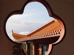 -深圳仙湖植物园