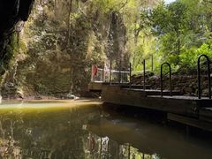 -怀托摩萤火虫洞