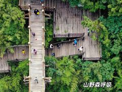 -九如山休闲旅游度假区