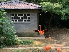 -杭州动物园