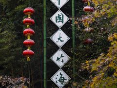 -中国大竹海景区