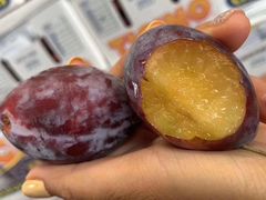 -西郊国际农产品交易中心