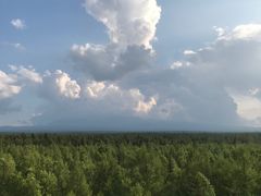 -峡谷浮石林景区