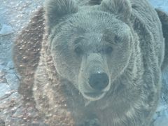 -新疆天山野生动物园