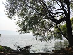 -大理洱海