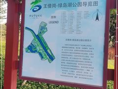 -王借岗森林公园