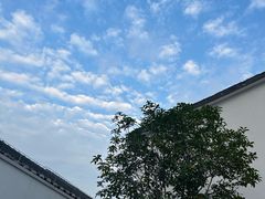 -青果巷历史文化街区