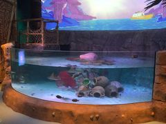 -沈阳海洋探索中心