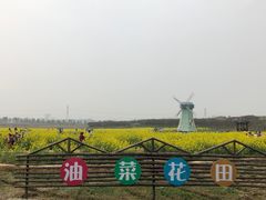 -武汉紫薇都市田园