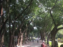 -广州雕塑公园