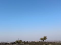 -龙口南山旅游景区