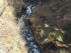 -峡谷浮石林景区