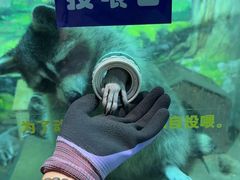-大连圣亚海洋世界
