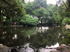-成都市活水公园