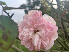 -英西峰林·洞天仙境
