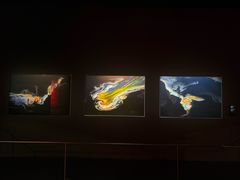 -罗红摄影艺术馆