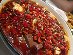 毛血旺-雲蜀龙阁·金牌水煮鱼(方庄店)