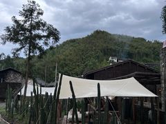 -MOJ coffee(瓯海泽雅水碓坑店)