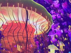 -海合安武汉极地海洋公园