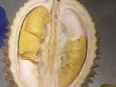 -都念榴莲·城市榴莲