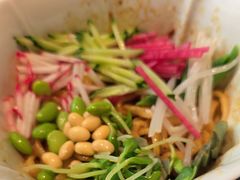 -秀儿四九城·新京菜(亚运村鸟巢店)