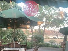 -浙江西子宾馆·瑶园咖啡厅