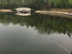 -济南南郊宾馆