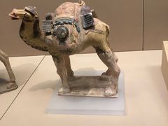 -陕西历史博物馆