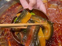 -符淼淼火锅(宽窄巷子店)