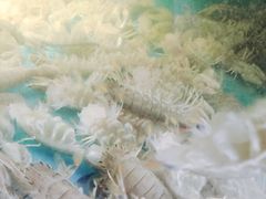 -海贡平价海鲜超市