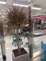 点击看大图 -P.STYLE 派斯造型